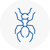 Ant Removals In Warrington