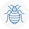 Bed Bug Extermination In Warrington