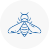 Bee Nest Removal Warrington