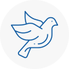 Bird Prevention Warrington