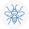 Warrington Hornet Nest Removals
