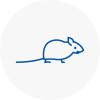 Mice Exterminators In Warrington