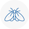 Moth Control Specialists In Warrington
