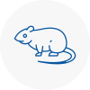 Rat Control Warrington
