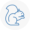 Warrington Rodent Removals